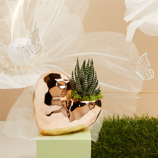 Bomboniera Vaso a forma di Cuore e Piantina verticale 25141