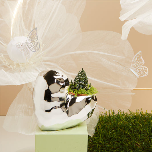 Bomboniera Vaso a forma di Cuore e Piantina verticale 25141