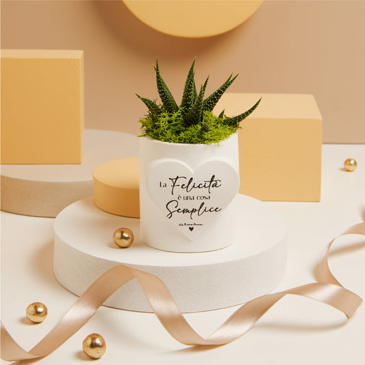 Bomboniera Claraluna vasetto con piantina con scritta 25335