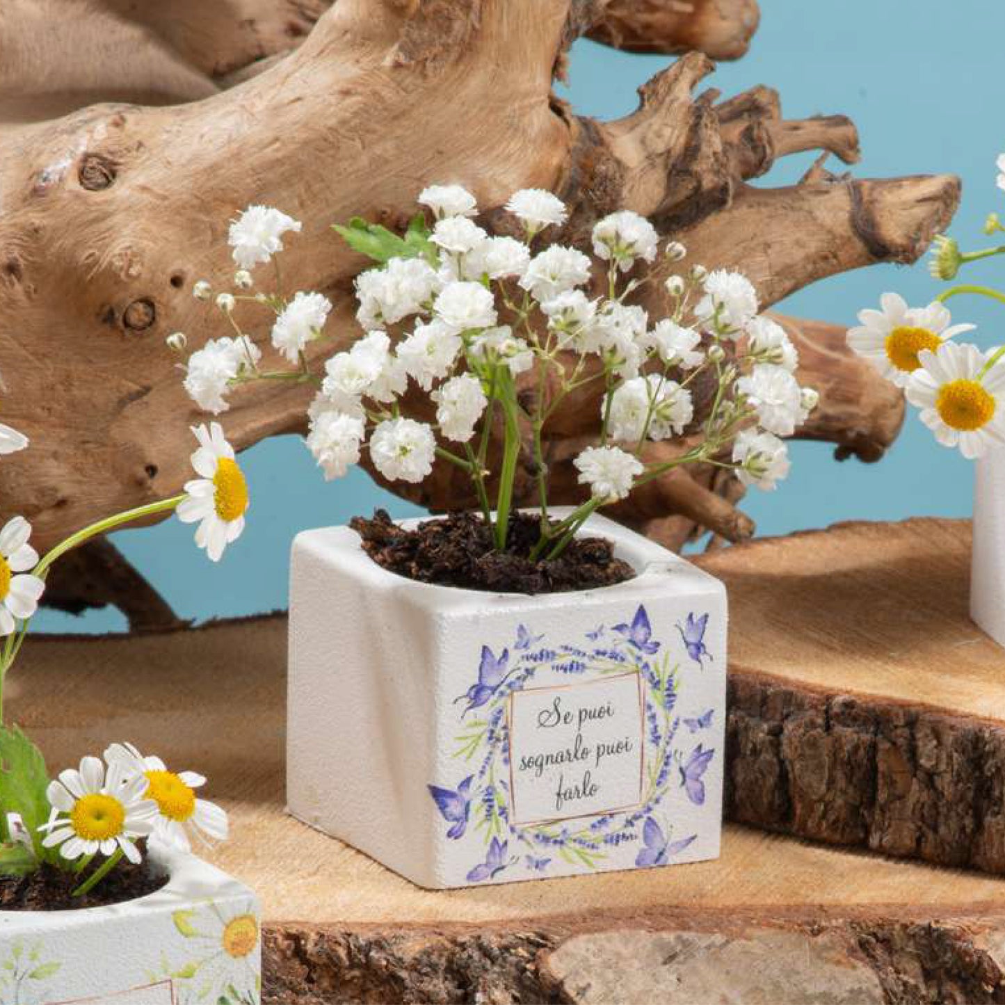 Bomboniera Cubo Portapiante Fantasie Tema Natura Dolcicose