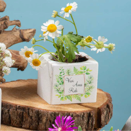 Bomboniera Cubo Portapiante Fantasie Tema Natura Dolcicose