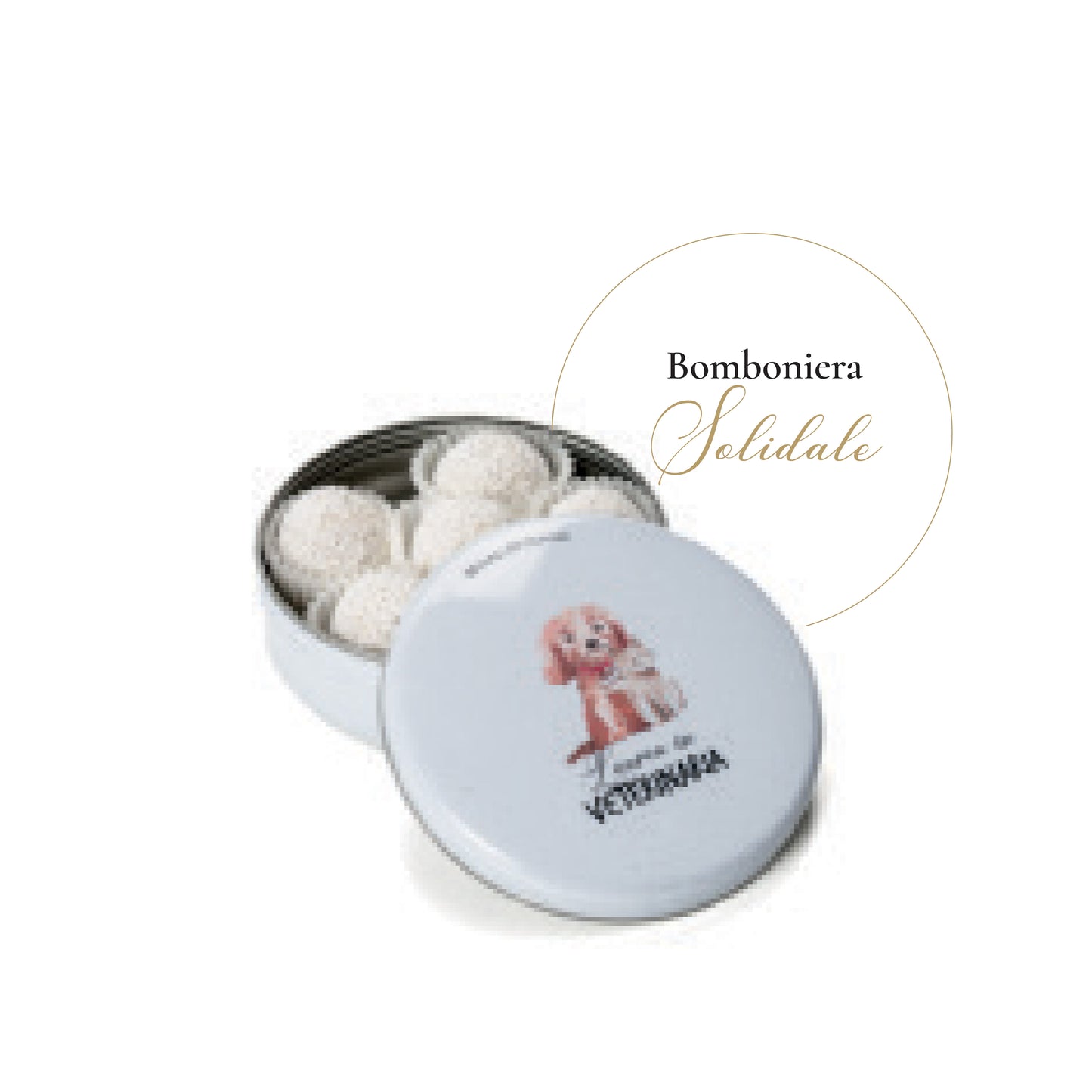 Scatola in Latta Veterinaria Regali di Cuore 10 PEZZI