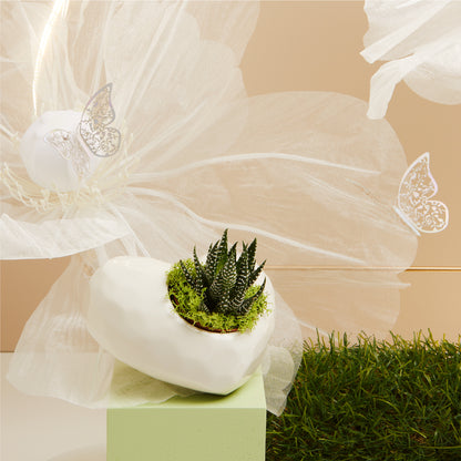 Bomboniera Claraluna Vaso Cuore con Piantina Grassa Orizzontale 25142