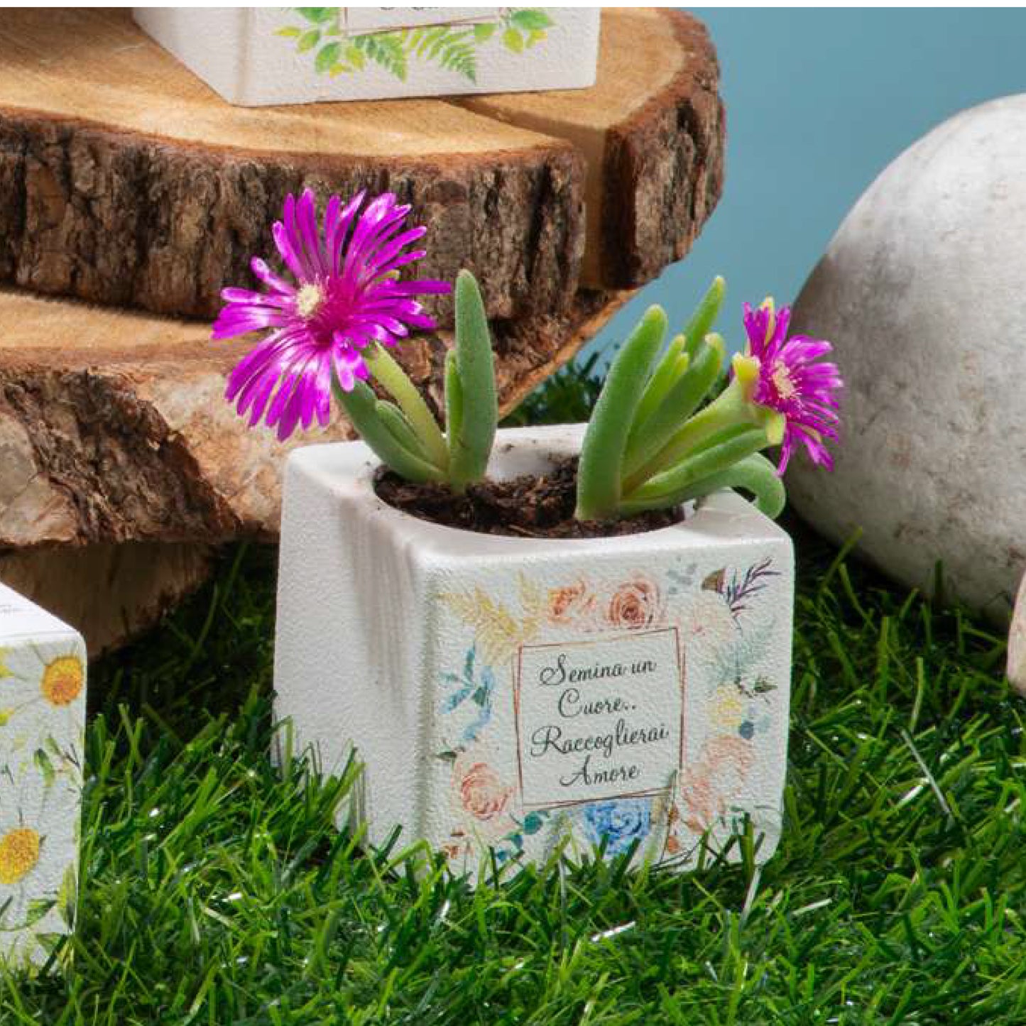 Bomboniera Cubo Portapiante Fantasie Tema Natura Dolcicose